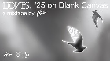 Hindia - Doves, 