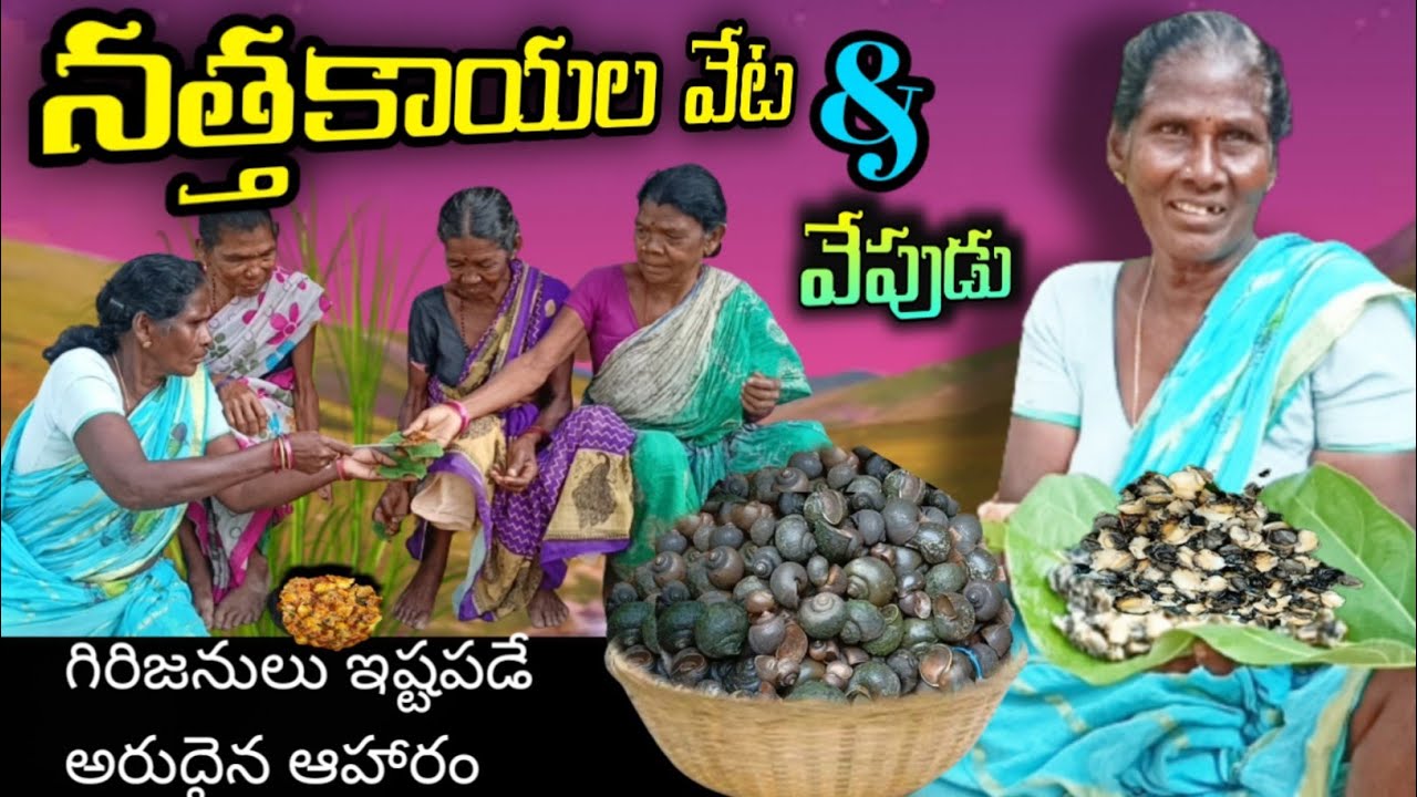 అత్త చేసిన నత్తల వేపుడు | గిరిబిడ్డలు ఇష్టపడే అరుదైన ఆహారం 