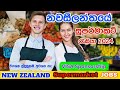    2024 ii how to apply supermarket jobs in new zealand ii visa sponsorship