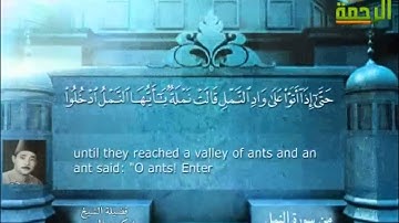 الشيخ شكري البرعي رحمه الله  تلاوة نادرة ما تيسر من سورة النمل