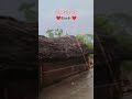 basti jila me barish #sorts #vairlvideo #treding