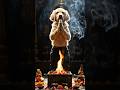 puppy Take Revange Doing Dhumavati Puja #trending #bhakti #dhumavati #adishakti #akshaytritiya