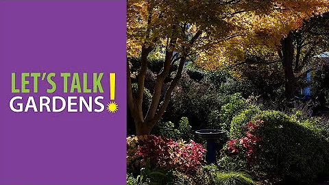 Let's Talk Gardens, Drapers Dozen: Top Perennial P...