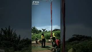 Joki Cantik Geber Merpati Kesayangan Dilomba Kolong Mejamerpatikolongmejaindonesia
