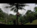 How I Arrived in a Isolated Lodge in the Corcovado