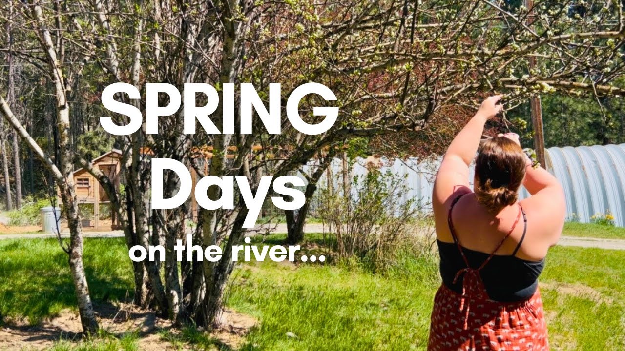 Spring projects and a nostalgic cookie recipe