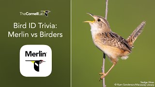 Bird ID Trivia: Merlin vs. Birders screenshot 3