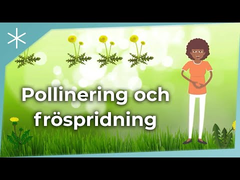 Pollinering och fröspridning