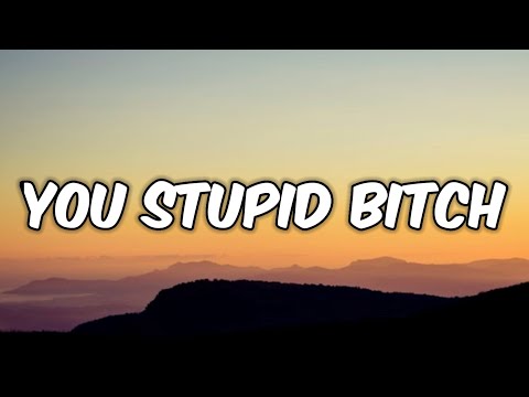 girl in red - you stupid bitch (Lyrics)