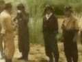 Kamikaze-神風特攻隊