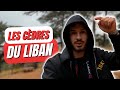 Dans la mythique fort des cdres cest incroyable    vlog