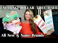 Exciting Dollar Tree Haul/ All New & Name Brands/ Feb 10