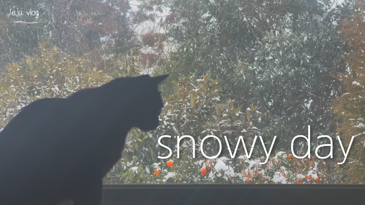 HARIBO Jeju, Snowy Jeju Vlog | Valentine's Day, Saramin Forest Road, Cat and Home Food — steady