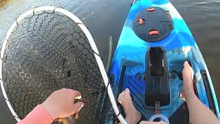 Kayak Fishing Ozello Fl for big Snook and Redfish!!!!!
