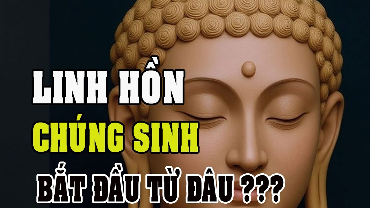 Linh hồn chúng sinh bắt đầu từ đâu?