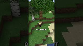 Ред флаги игроков на сервере #майнкрафт #minecraft