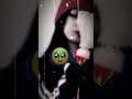 كيفك الكذب مو منك ول كذب هد حيلي تصميم حب كرومات اغاني كيفك الكذب مو منك ول كذب هد حيلي تصميم حب كرومات اغاني
