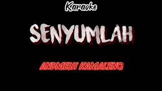 Karaoke Senyumlah-Andmesh kamaleng | Lower key