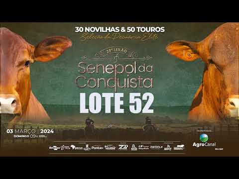 LOTE 52 CONQ  2841