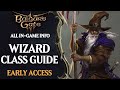 Baldur’s Gate 3 Early Access Builds: Wizard Guide