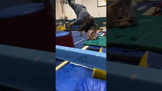 Bro trips on something and falls headfirst onto a mat