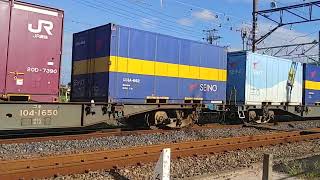 5075列車JR貨物桃太郎EF210−320押し🍑