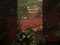 Solo Mining ASMR