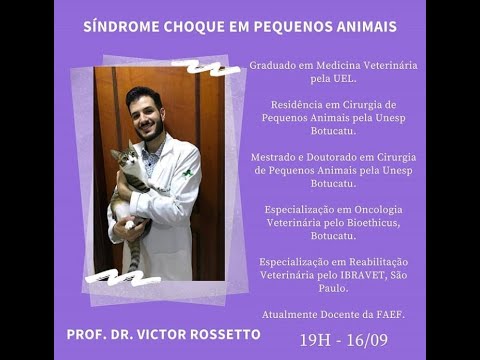 Vídeo: Choque Devido à Diminuição Da Circulação Em Cães