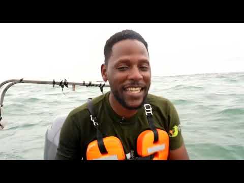 Activists Fight to Save Nigeria's Sea Turtles From Pollution, Poachers