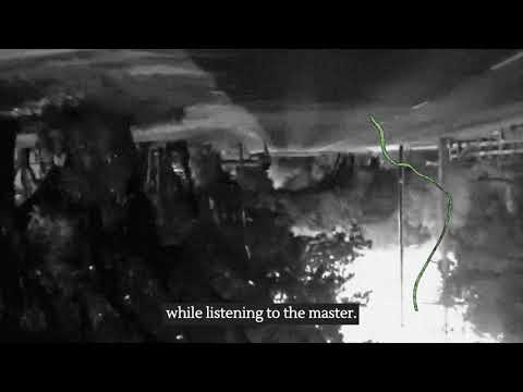 在 YouTube 上觀看「Chloe George - Grass Stains (Official Visualizer)」 在 YouTube 上觀看「Chloe George - Grass Stains (Official Visualizer)」