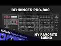 My Favorite Sound with Behringer Pro-800 [Synthesizer Demo] (No Talking)