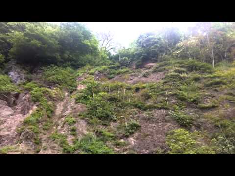 გურია -სიცოცხლის სამოსახლოა