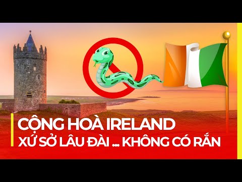 Video: Giới thiệu ngắn về Lâu đài Dublin