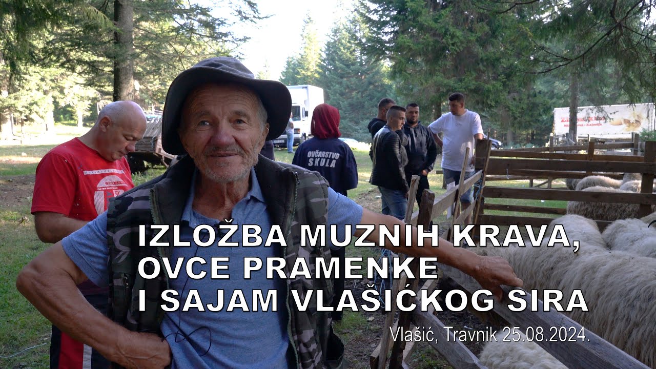 Izložba muznih krava, ovce pramenke i sajam vlašićkog sira, Vlašić Travnik 25.08.2024 (4K)
