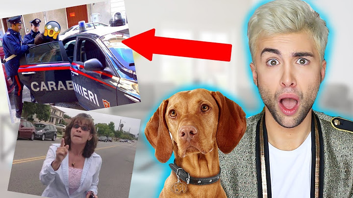 HO RISCHIATO L'ARRESTO (PER COLPA DEL MIO CANE) | GIANMARCO ZAGATO
