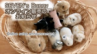 コロンしているベビーなうさぎさん 羊毛フェルト ブラックオター