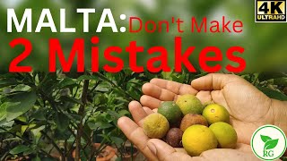 যে ২টি ভুলের কারণে মালটার গুটি বেশি ঝরে যায় | MALTA Farming: 2 Major Mistakes to Avoid| @rajgardens