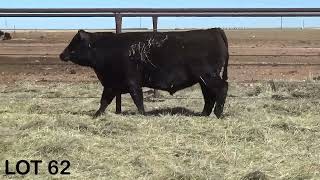 LOT 62