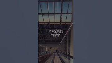 إن الله وملائكته يصلون على النبي - مقتطفات من سورة الأحزاب بصوت القارئ هيثم الدخين