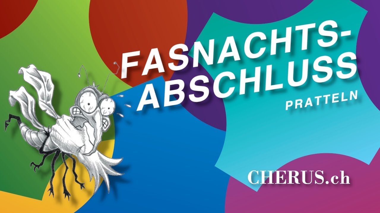 Moskito Würger Diepflingen @cheruspratteln 2024