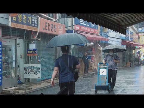 Walking in the <strong>Rain</strong>: A Soothing Escape <strong>from</strong> the World. 비오는 날 산책, 당신의 마음을 힐링시킬 영상과 빗소리