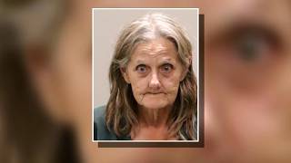A Florida postal worker was arrested for stealing more than 80 cats on her mail route