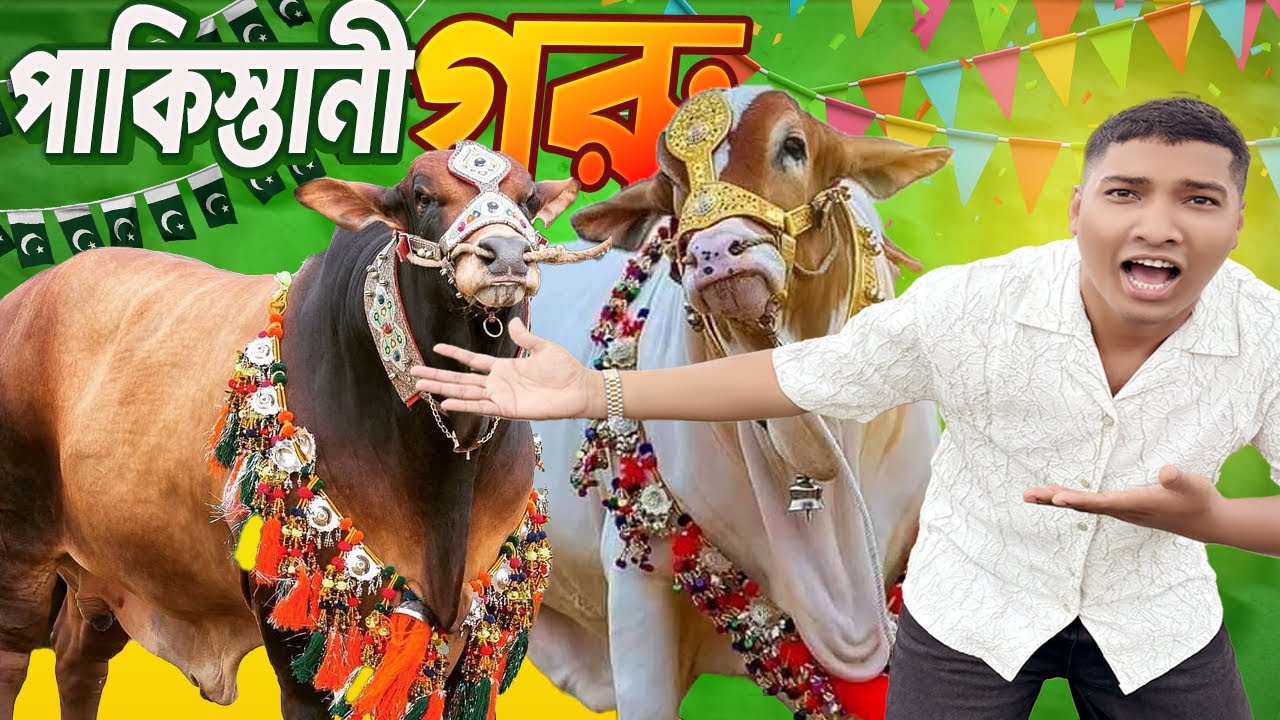 Pakistan's biggest cow market 2025 || Pakistani biggest cow market 2025