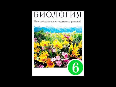 § 19 Передвижение воды и питательных веществ в растении