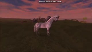 South Hoof Peninsula Sso