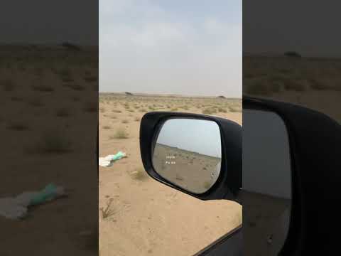 الا واهن ي اللي منامه تهن ى به وانا جفن عيني من حلا النوم متبر ي اسولف مع العربان والقلب يومابه