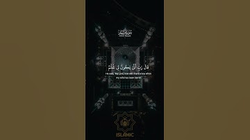 القرآن الكريم:سورة مريم #quran #المصحف #قرآن #الرحمن #quran #islamicstatus #pov