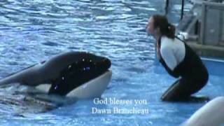 Celebrity SEA WORLD trainer Dawn Brancheau Net Worth