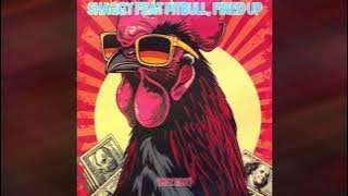 Shaggy feat Pitbull - Fired Up (MFZ Edit)
