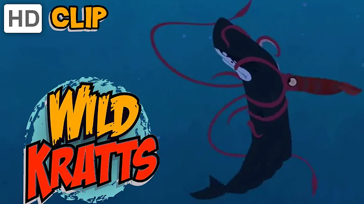 Wild Kratts - Sperm Whale Vs. Giant Squid